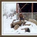 Зач Скромный